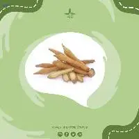Fingerroot
