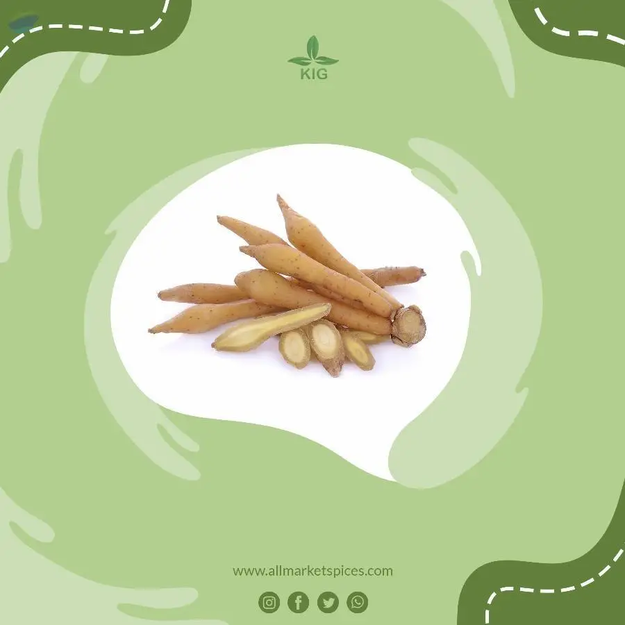 Fingerroot
