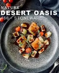 Oasis Dinnerware