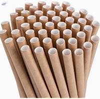 Paper Straws