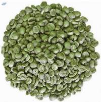 Arabica Green Coffee Beans