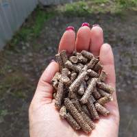 Wood Pellets