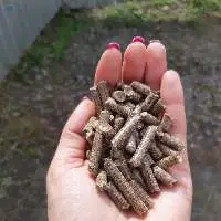 Wood Pellets