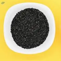 Catalytic Carbon