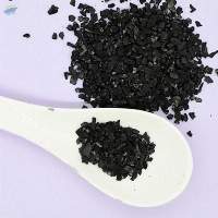 Coconut Shell Activated Carbon