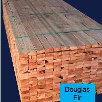 Douglas Fir