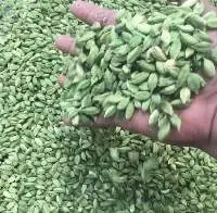 Cardamom 8mm