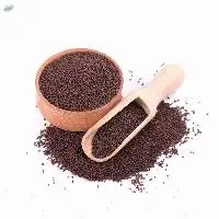 Mustard Seeds