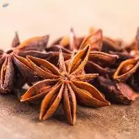 Star Anise Seeds
