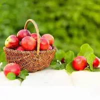 Fresh Apple