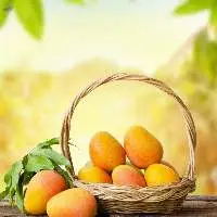 Fresh Mango