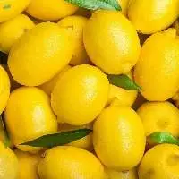 Fresh Lemon
