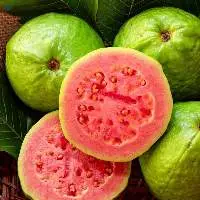 Fresh Guava