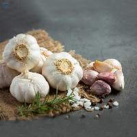 Fresh Garlic