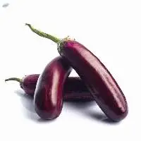 Fresh Brinjal