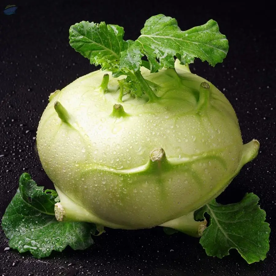 Fresh Kohlrabi
