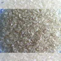 Ponni Rice