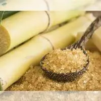 Cane Sugar
