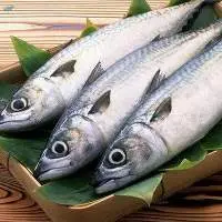 King Fish