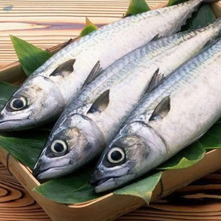 King Fish