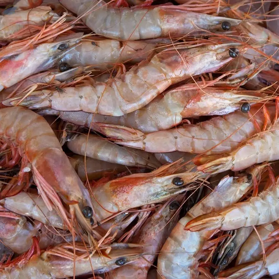 Sea White Prawns