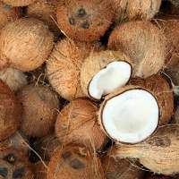 Semi Husked Coconut