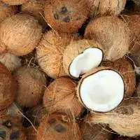 Semi Husked Coconut