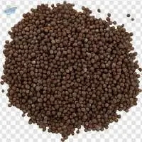 Mustard seeds- Spice