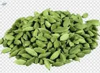 title='Cardamom - spice'