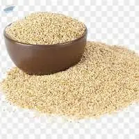 Sesame Seeds - spice