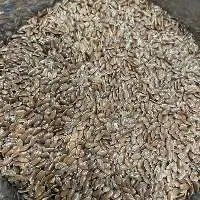 Flax Seed