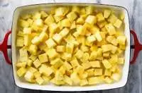 Pineapple Pulp 