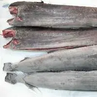 Frozen Swordfish