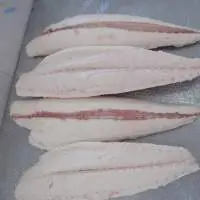 Frozen Oilfish