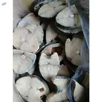 Frozen Spanish Mackerel