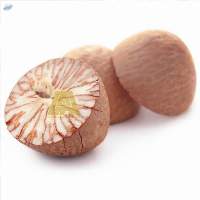 Betel Nut