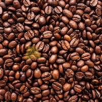 Coffee Bean