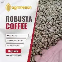 Robusta Green Beans Coffee