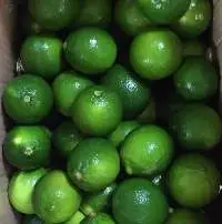 Seedless Lime