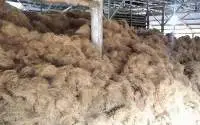 Coconut Fiber, Coir, Coir Fibre