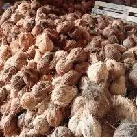 Semi Husked Coconut