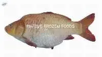 Karfu Fish