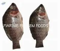 Tilapia Clean Fish