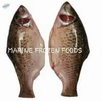Puti Clean Fish