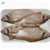 Puti Clean Tray