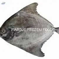 Black Pomfret Fish