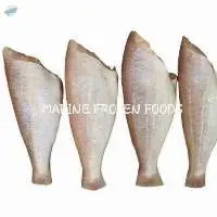 Threadfin Bream H/L Fish