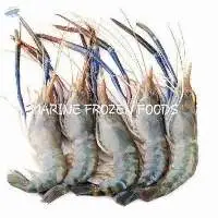 Fresh Water Shrimp