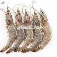 Vannamei Shrimp