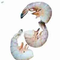 Vannamei H/L Shrimp